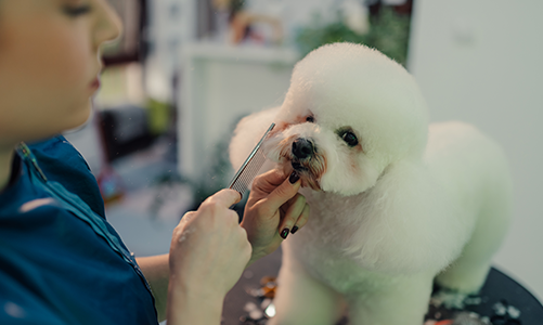 공지사항이미지1