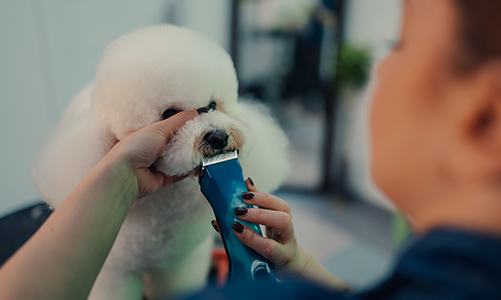 공지사항이미지2