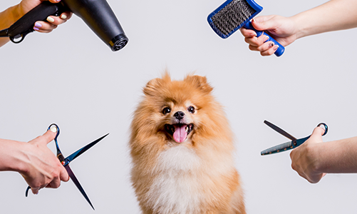 공지사항이미지2